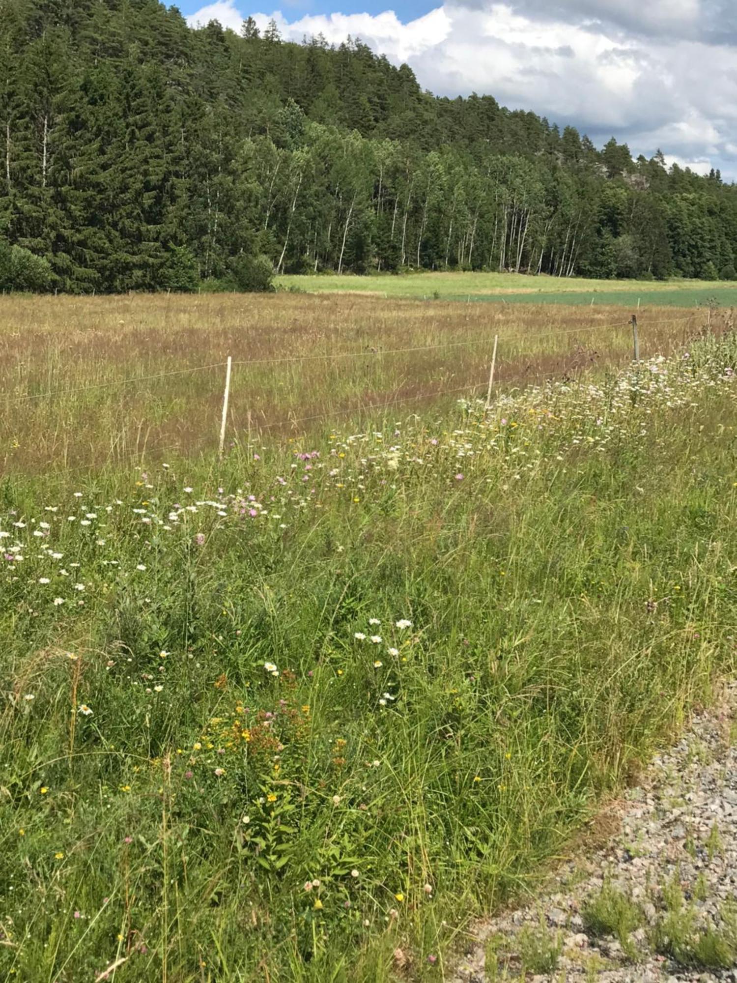 Charmigt Aeldre Hus, Laddbox 22 Kw, 5 Bil-Minuter Till Bad Strömstad Dış mekan fotoğraf